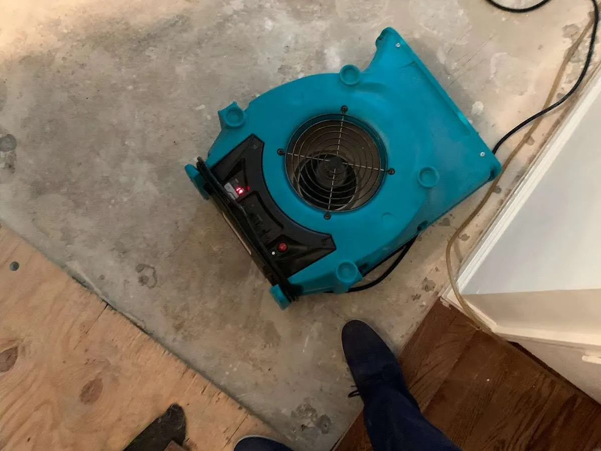 Air mover drying subfloor during Commercial Water Damage Restoration in Forestville